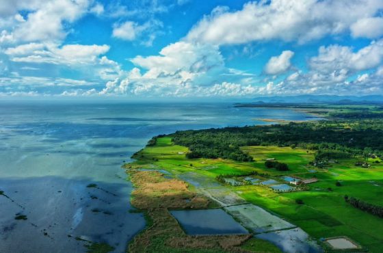 ODISHA-LAND OF SPIRITUALITY DIVINITY AND GOLDEN BEACH